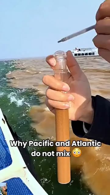 🌊🌎 Why the Pacific and Atlantic Oceans Do Not Mix 😱
It l