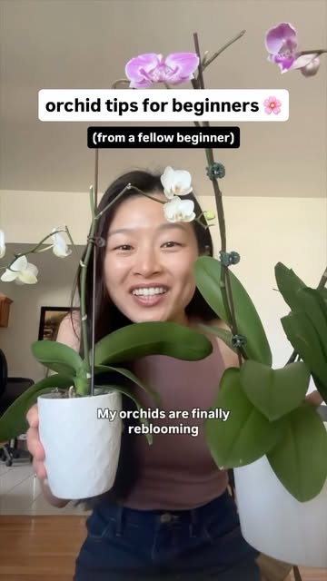 I’m no expert, but 3 people asked me for orchid tips so here