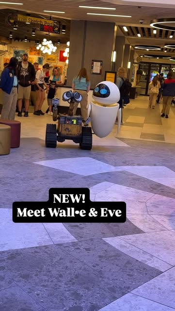 WALL•E & EVE AT PIXAR PLACE HOTEL 🌱 🥾
Wednesdays only in