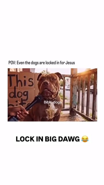 LOCK IN 👊🏽 #viral #reels #motivation #jesus #dogs