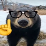 itzcosmicz