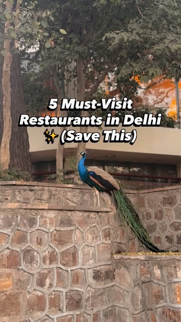 5 must visit restaurants in Delhi ✨
Trust me, you’ll want to