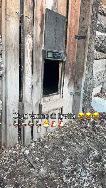 Anche voi quando siete di fretta , uscite di casa così ??? �