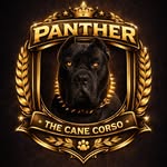panther_corso