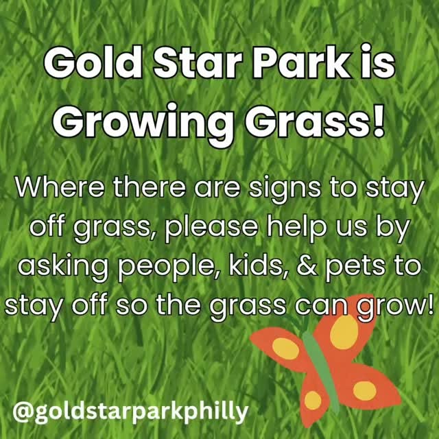 🌳 #goldstarparkphilly #goldstarpark #phillypark #phillypark