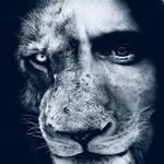 lionmedia.de
