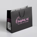 bagplugng_