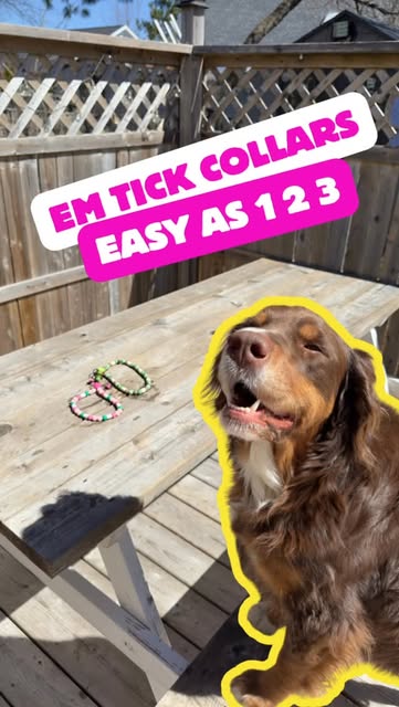 Ticks who? 🌿🐾
EM tick collars use Effective Microorganism