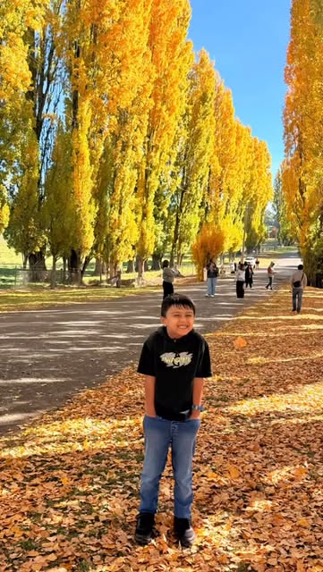 #Goldenpoplar