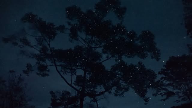 «Tras pasar tres o cuatro días en la selva, un atardecer en
