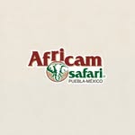 africamsafaripuebla
