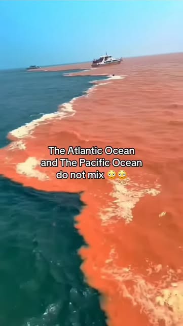 🌊💀 The Ocean Line — Why Atlantic & Pacific Don’t “Mix” 😱�