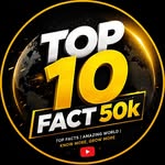 top_10_fact_50k