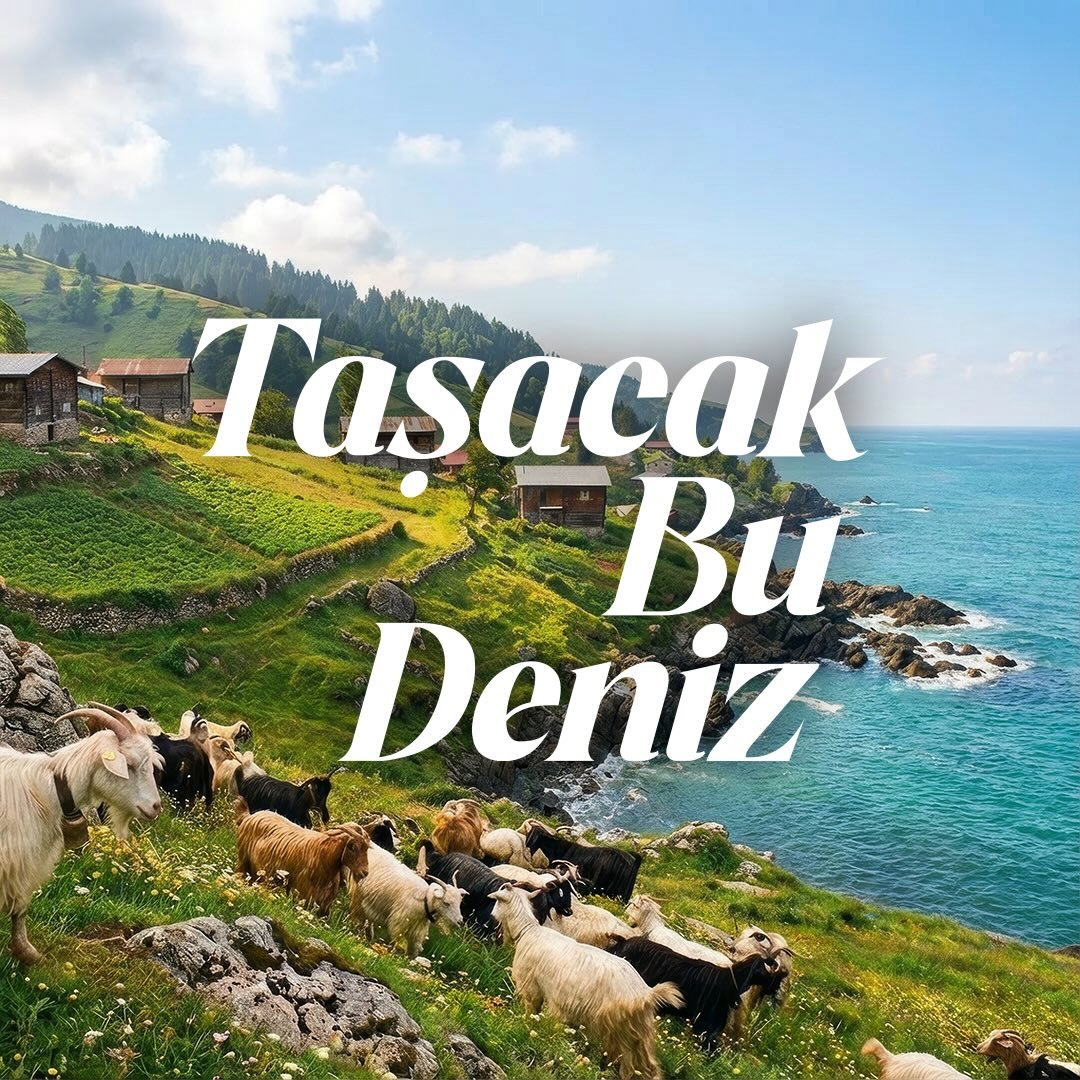 tasacakbudenizdizi
