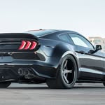 mustangsaddiction